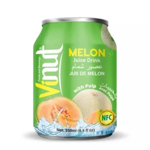 Vinut Melon Juice With Pulp